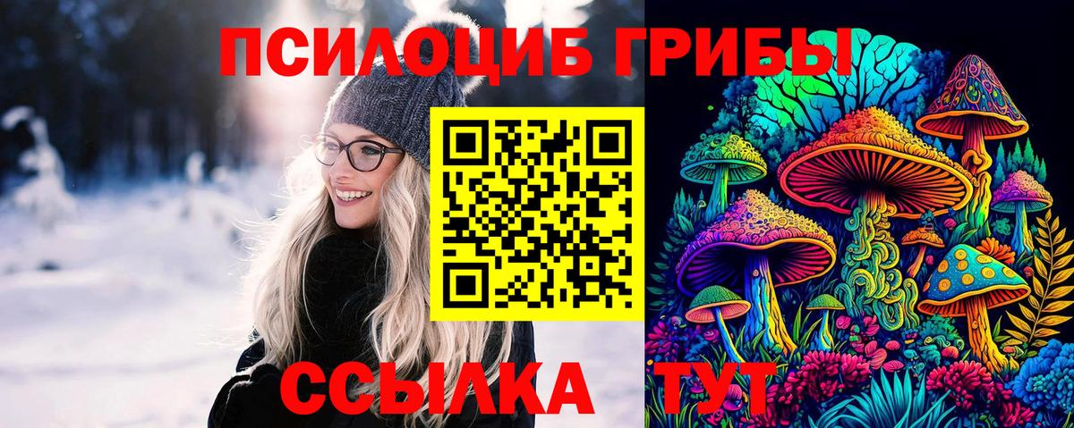 Ступино  Псилоцибиновые грибы Magic Shrooms  Вход с VPN 